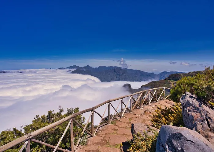 Koala Bay Place פונשל