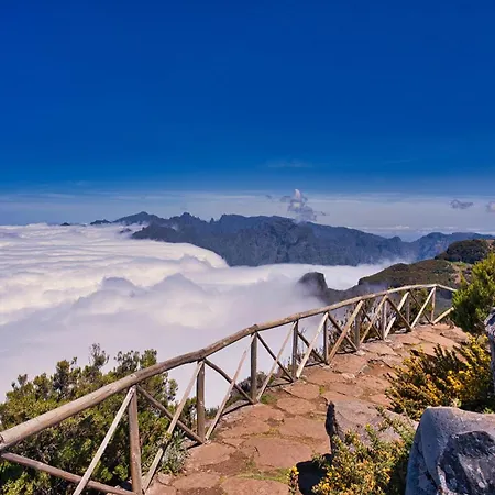 Koala Bay Place Funchal